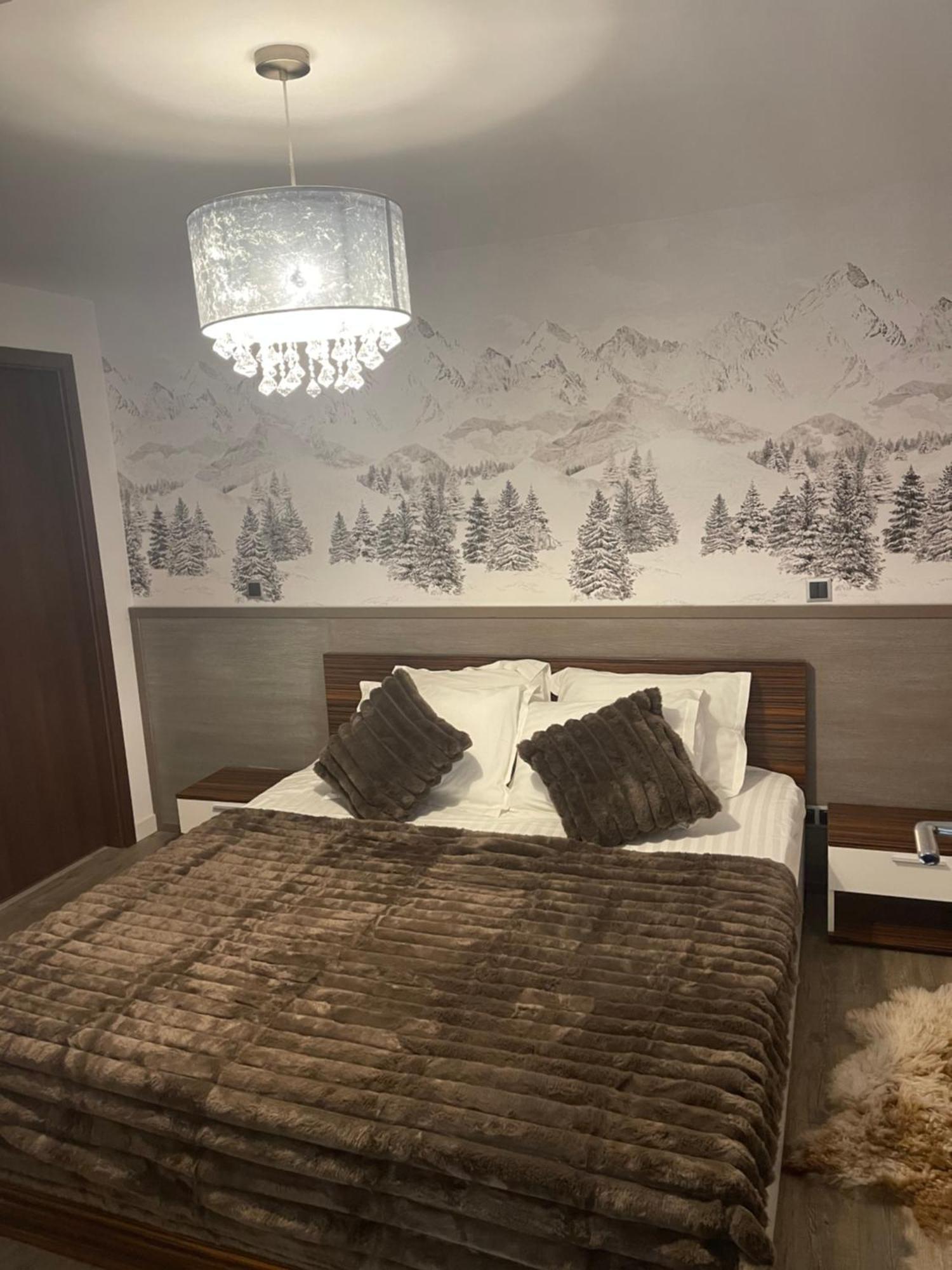 ポイアナ・ブラショフPentahouse Mountain Belle Vueアパートメント エクステリア 写真